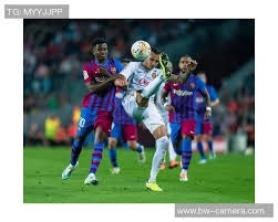 综合体育体育资讯导航 快速定位项目分类