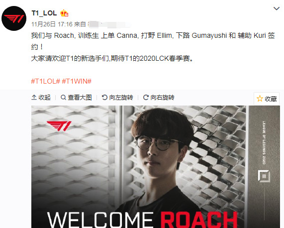 仅能分散对 仅能分散对